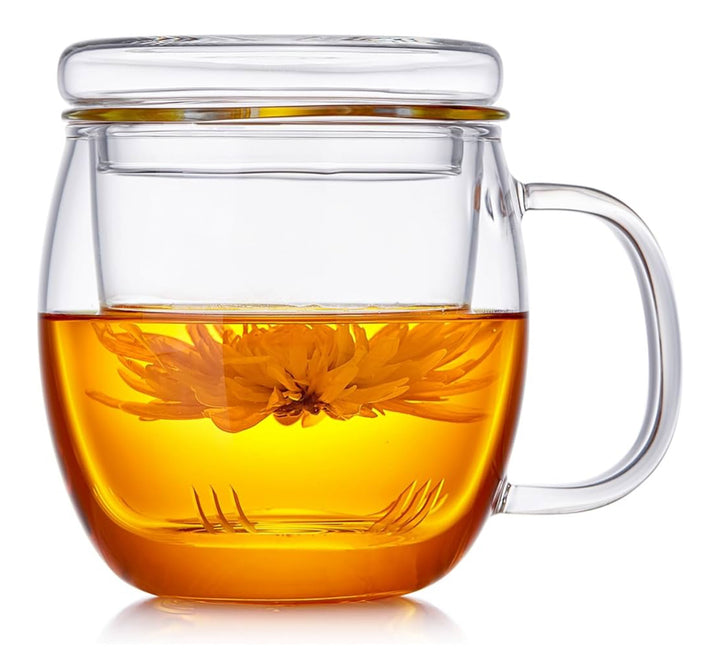 Glass Tea Mug with Infuser & Lid (17oz / 500ml)