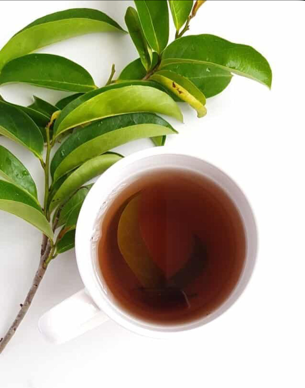 Soursop Tea — Bamboo Jar