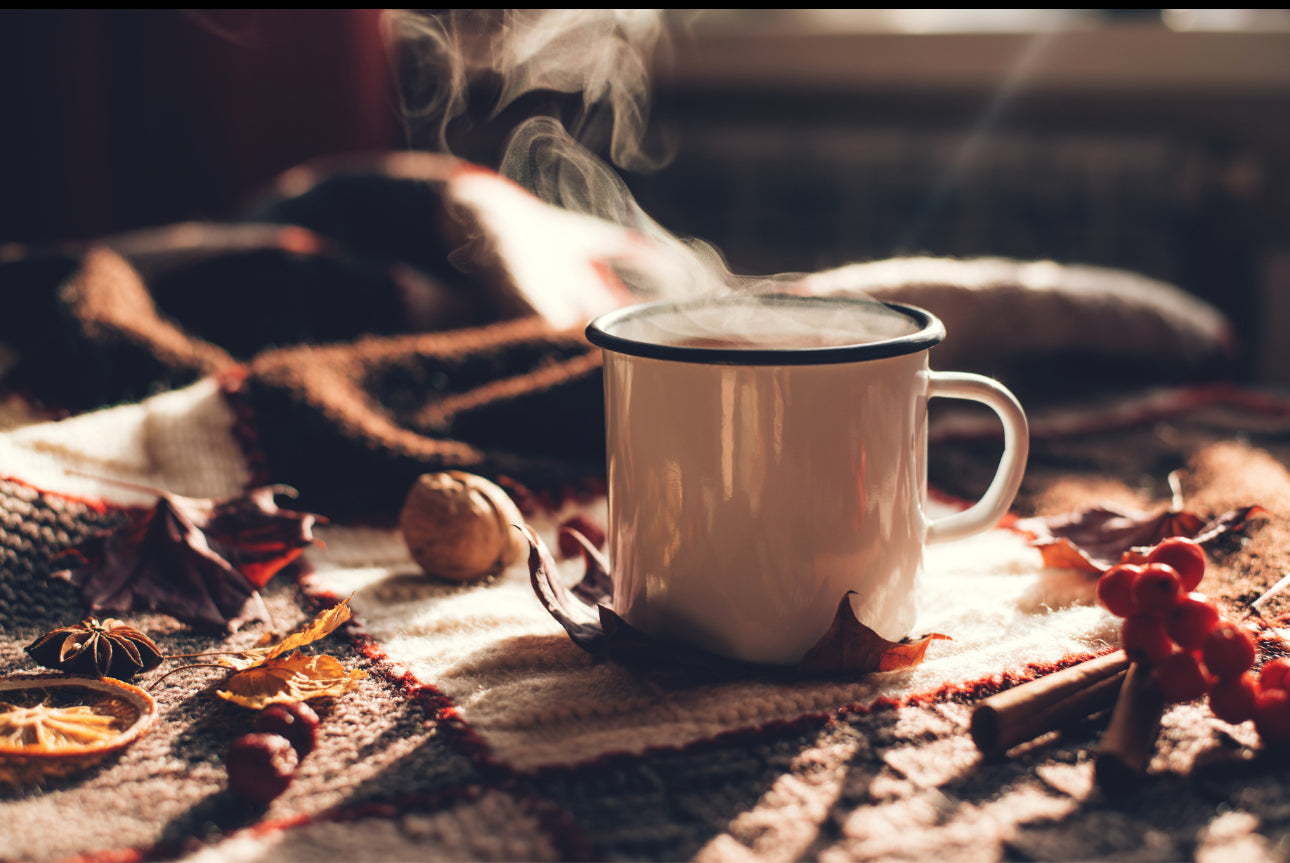 Daily Ritual- 12 Bags